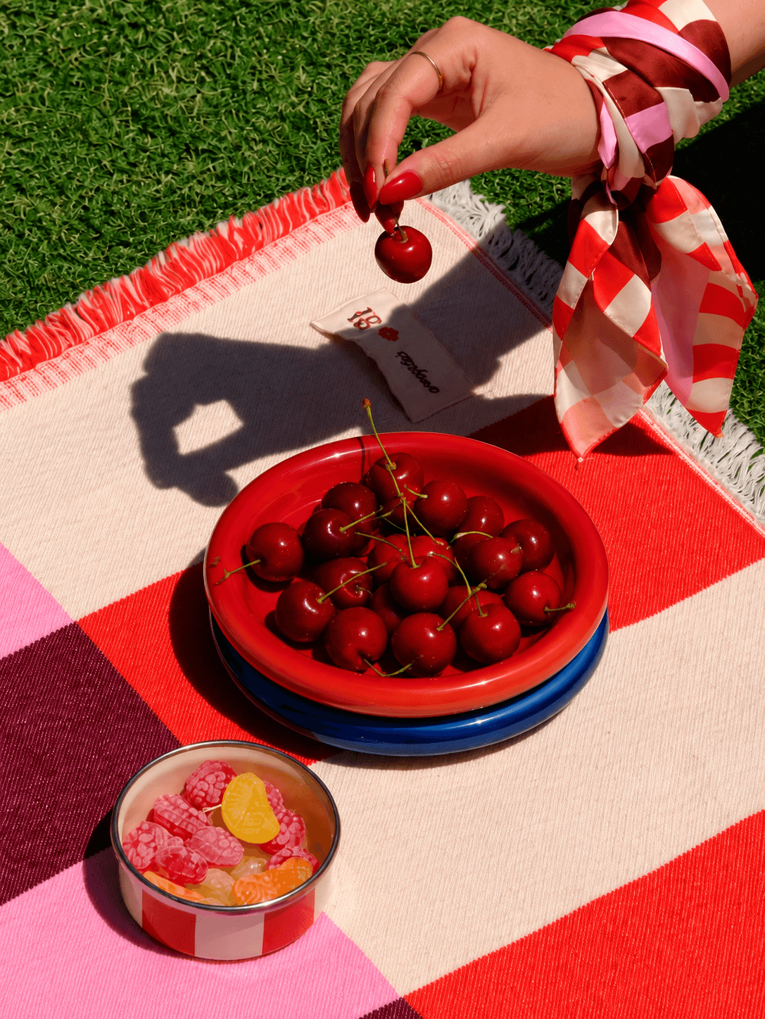 The Color Pop Plate Set ( Blue & Red)